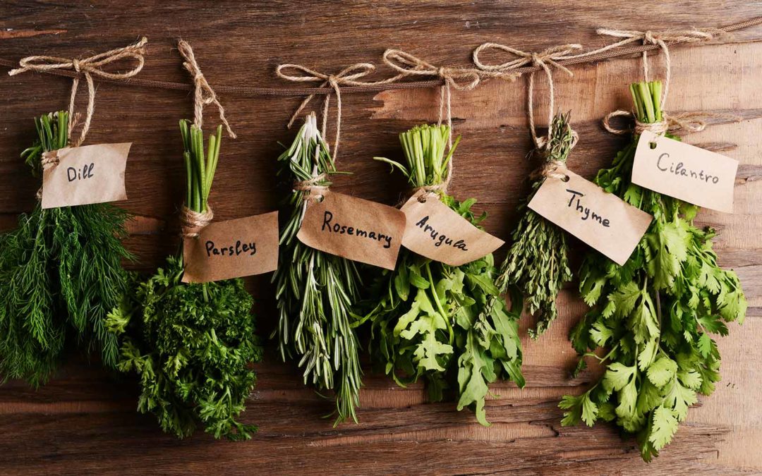 Getting to Know Your Herb